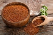 خاکشیر؛ نگاهی علمی به یک دانه دارویی-غذایی