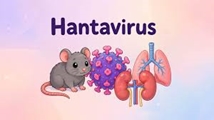 همه چیز درباره هانتاویروس/ دلیلی برای نگرانی عمومی، در حال حاضر وجود ندارد